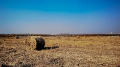 Kakadu Cazino Cazinou Aplicație mobilă